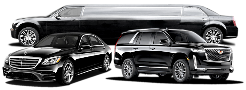 Birthdays Limo image by Palm Beach Airport Car Service in Palm Beach